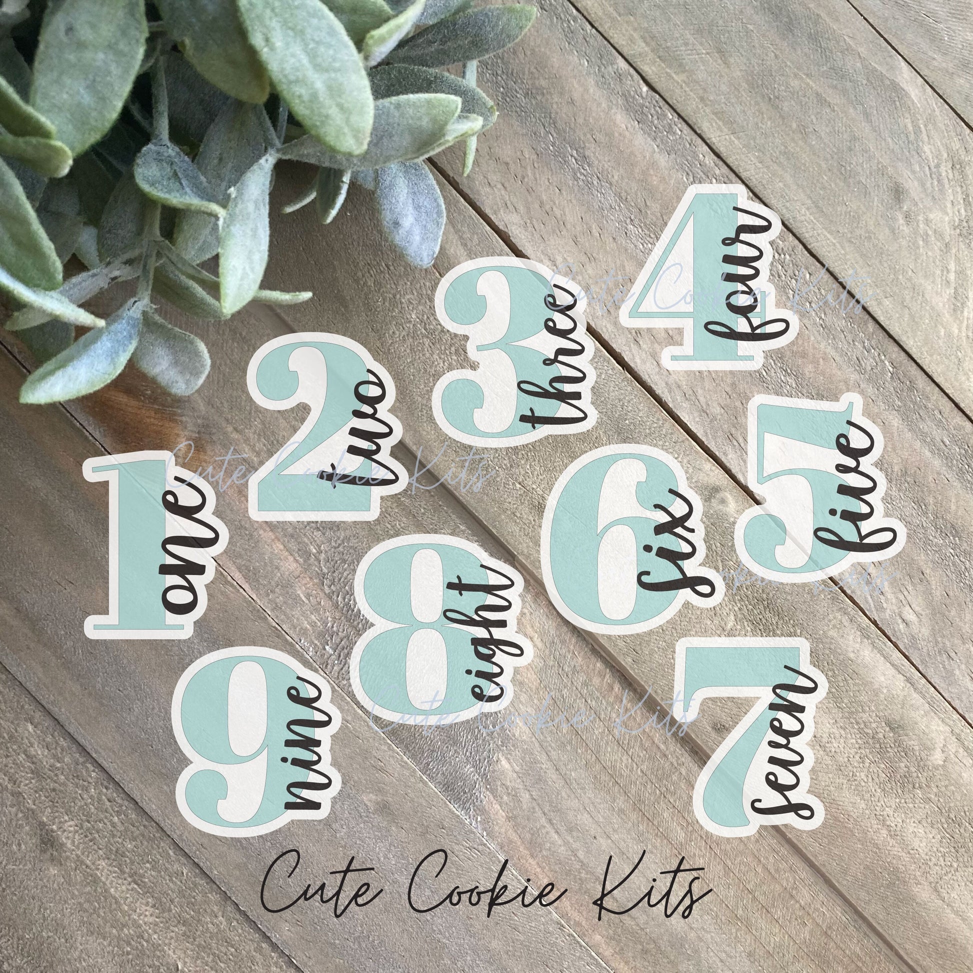 Single Number Cookie Cutters - Classic, Script Font - Single Digit Numbers 1 to 9 - Perfect for Birthday Cookies and Any Set - CCK621-629